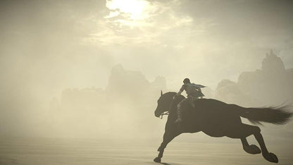 Shadow Of The Colossus Ps4 Gioco Eu Italiano Esclusiva Playstation 4