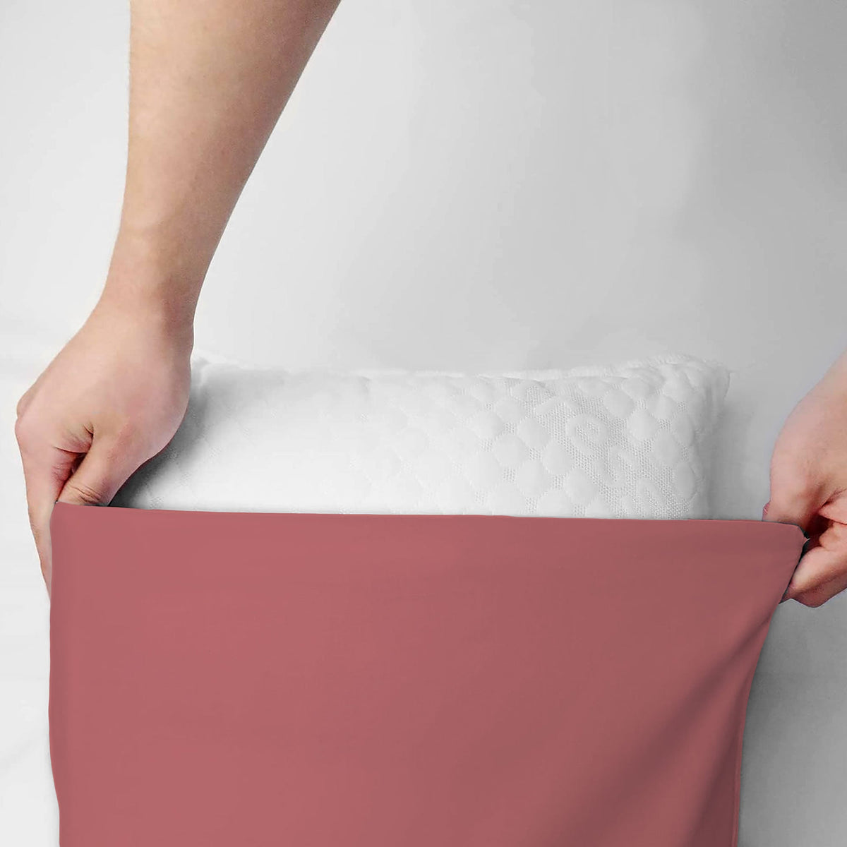 Pair of plain pillowcases 6860