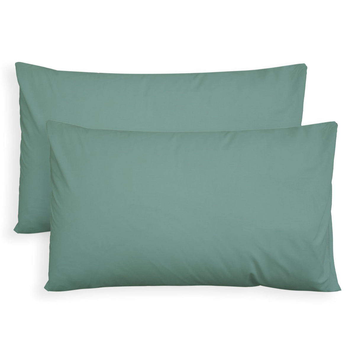 Pair of plain pillowcases 6860