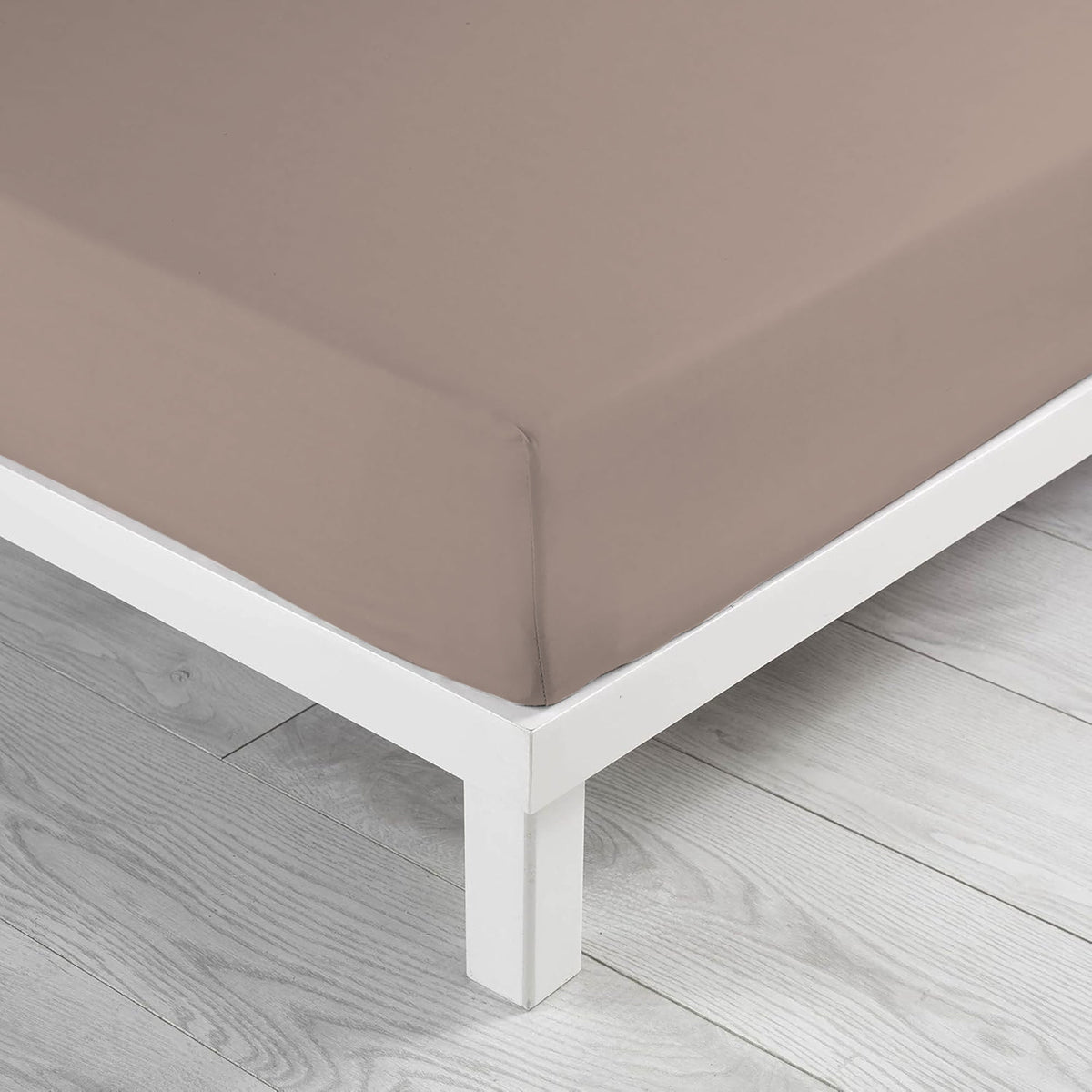 Fitted single jersey sheet solid color 6861