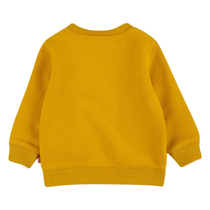 Levi's Kids Felpa da bambino Batwing Screenprint Hoodie 6E9079 Y0L giallo oro