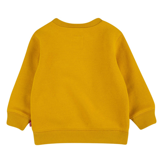 Levi's Kids Felpa da bambino Batwing Screenprint Hoodie 6E9079 Y0L giallo oro