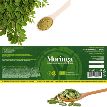 Moringa Oleifera Bio in Capsule | 50 Capsule