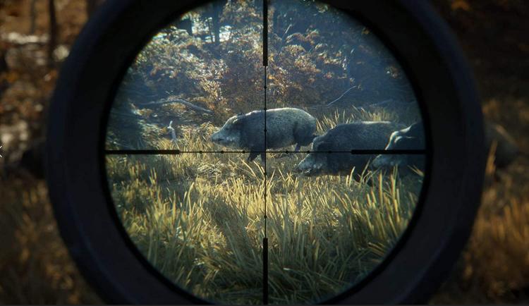 The Hunter Call Of The Wild 2019 Edition PS4 Videospiel Italienisch Versiegelt