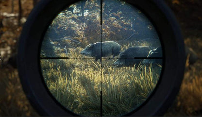 The Hunter Call Of The Wild 2019 Edition PS4 Videospiel Italienisch Versiegelt