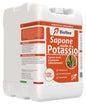 Potassium Soft Soap 10L – Natural Insecticide for Plants, Aphids, Scale Insects, Strengthening Effect and Honeydew Wash