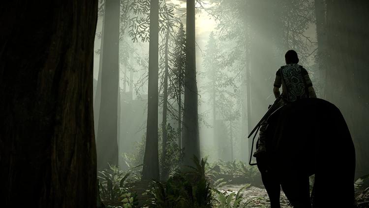 Shadow Of The Colossus Ps4 Gioco Eu Italiano Esclusiva Playstation 4