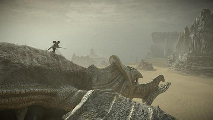 Shadow Of The Colossus Ps4 Gioco Eu Italiano Esclusiva Playstation 4