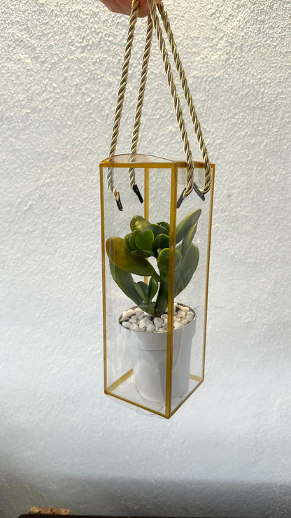 Set 5 Scatoline per Bomboniere 7cm x 7cm x 21cm Trasparenti bordi oro e lacci