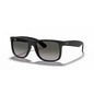0RB4165 RAY-BAN