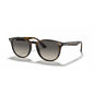 0RB4259 RAY-BAN