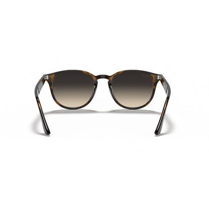 0RB4259 RAY-BAN