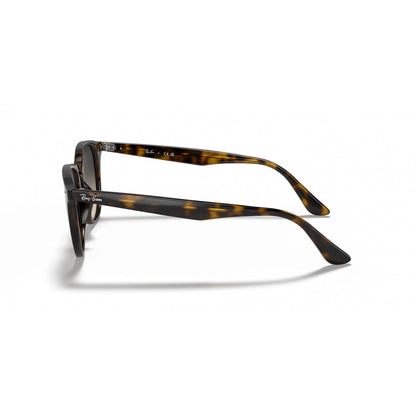 0RB4259 RAY-BAN
