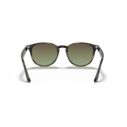 0RB4259 RAY-BAN