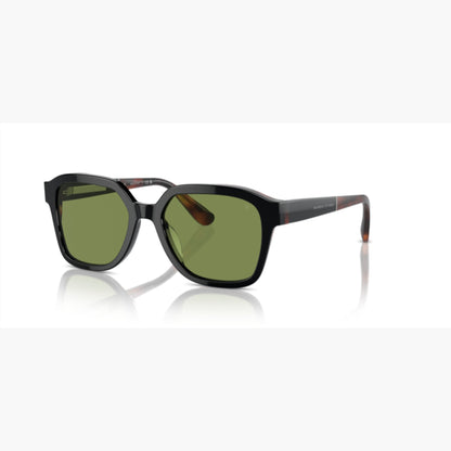 BC 4005S BRUNELLO CUCINELLI