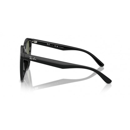 0RB4423D RAY-BAN