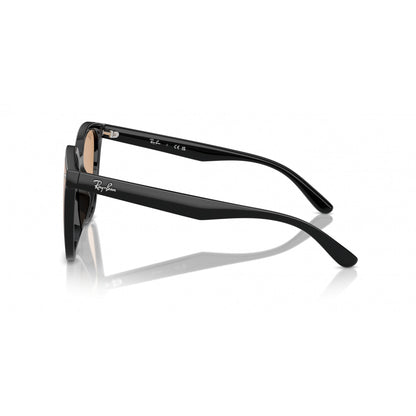 0RB4423D RAY-BAN