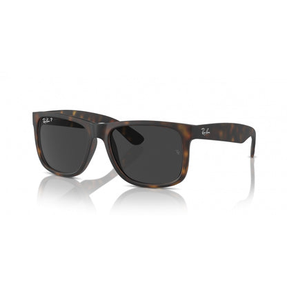 0RB4165 RAY-BAN