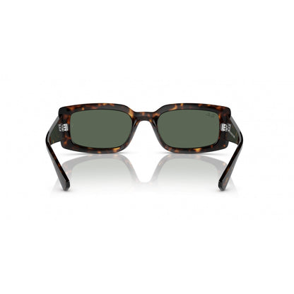 0RB4395 RAY-BAN