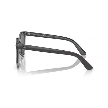 0RB4401D RAY-BAN