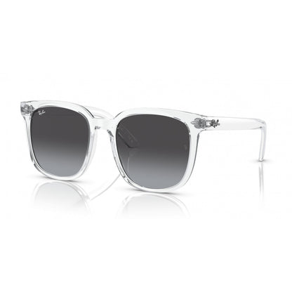 0RB4401D RAY-BAN