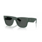 0RB4840S RAY-BAN