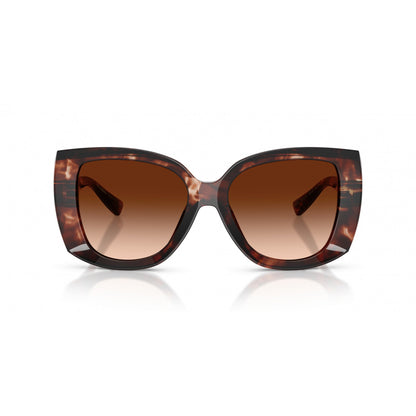 0DG4495 DOLCE & GABBANA
