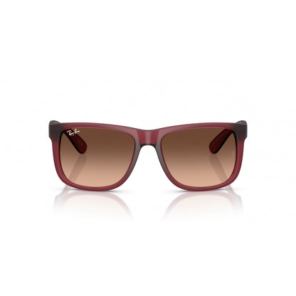 0RB4165 RAY-BAN