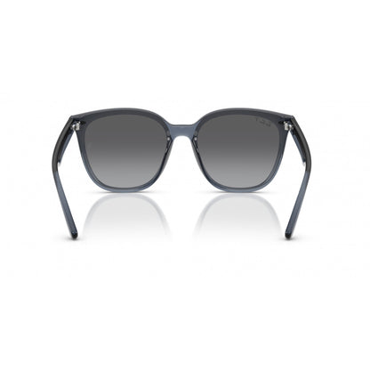 0RB4423D RAY-BAN