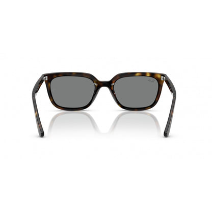 0RB4439D RAY-BAN