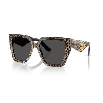 0DG4438 DOLCE & GABBANA
