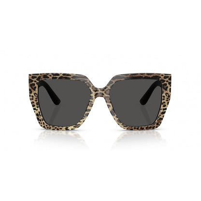 0DG4438 DOLCE & GABBANA