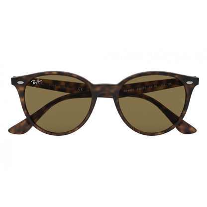 0RB4305 RAY-BAN