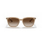 0RB4362 RAY-BAN