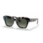 0RB2186 RAY-BAN
