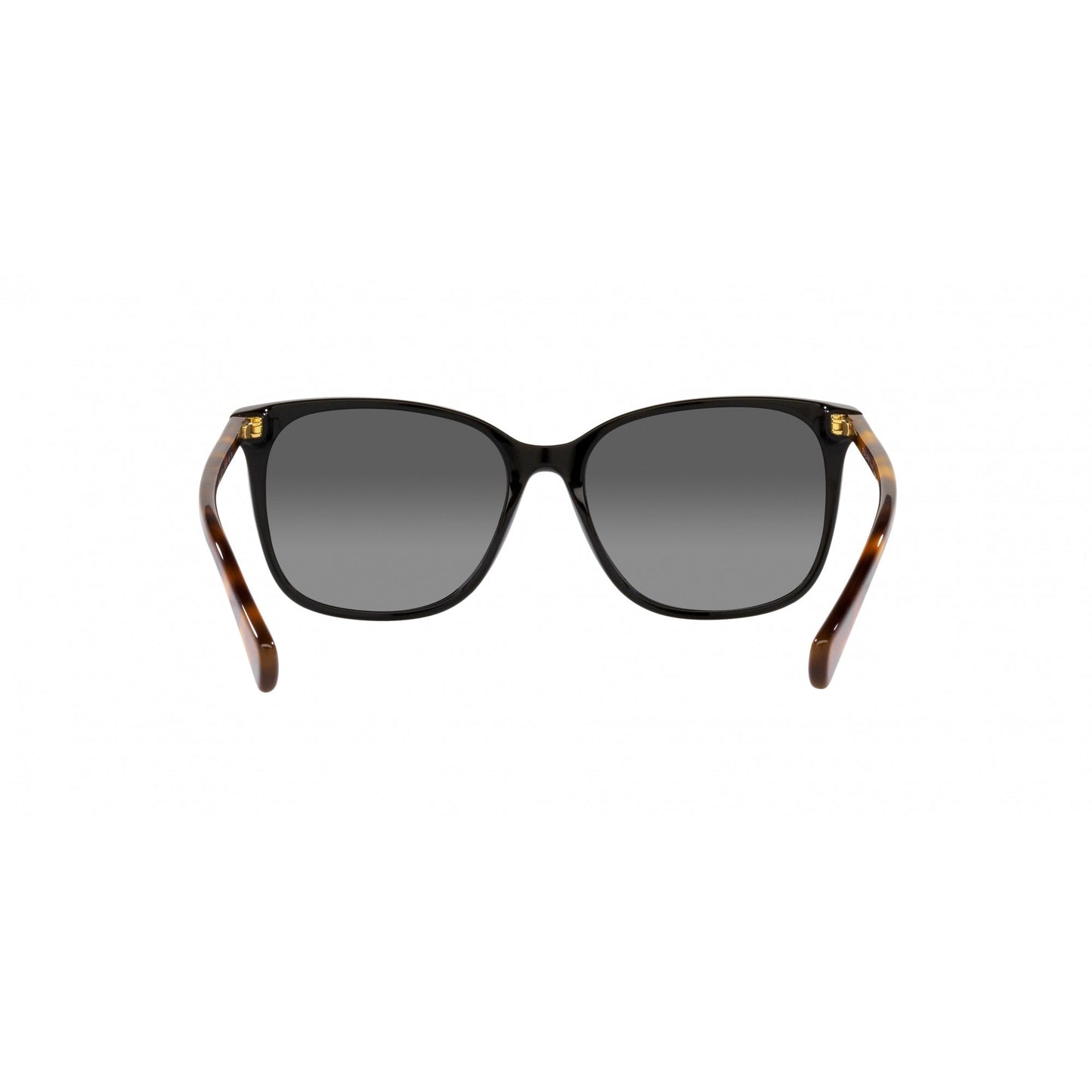RA 5293 RALPH