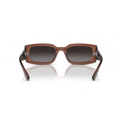 0RB4395 RAY-BAN