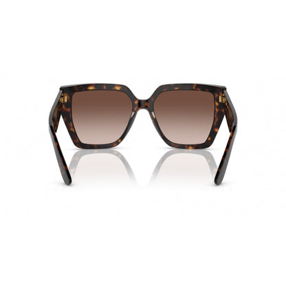 0DG4438 DOLCE & GABBANA