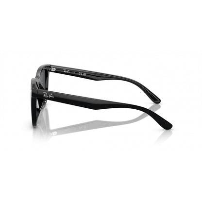 0RB4420 RAY-BAN