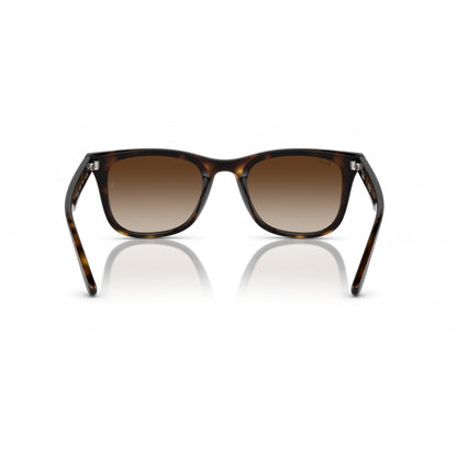 0RB4420 RAY-BAN