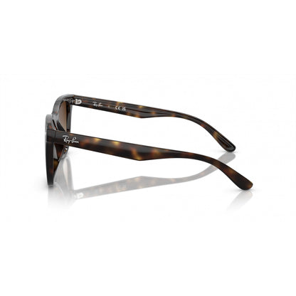 0RB4420 RAY-BAN