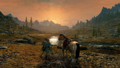 The Elder Scrolls V Skyrim Nintendo Switch Spiel Italienisch Mehrsprachig Versiegelt