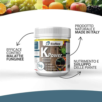 Bicarbonato di Potassio Puro - Fertilizzante Antifungino per Piante, Orto e Piante da Frutto, Supporta la Crescita e la Salute Vegetale - 1 kg - FBA
