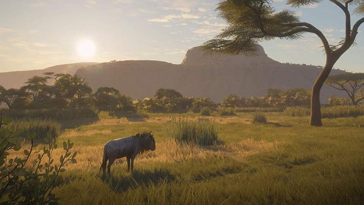 The Hunter Call Of The Wild 2019 Edition PS4 Videospiel Italienisch Versiegelt
