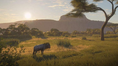 The Hunter Call Of The Wild 2019 Edition PS4 Videospiel Italienisch Versiegelt