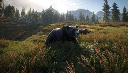 The Hunter Call Of The Wild 2019 Edition PS4 Videospiel Italienisch Versiegelt