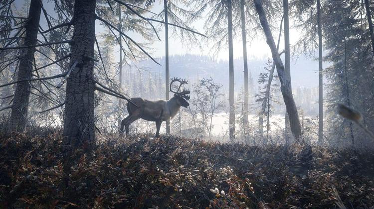 The Hunter Call Of The Wild 2019 Edition PS4 Videospiel Italienisch Versiegelt