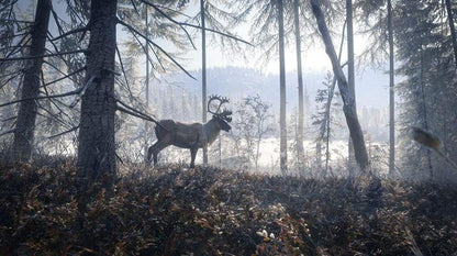 The Hunter Call Of The Wild 2019 Edition PS4 Videospiel Italienisch Versiegelt