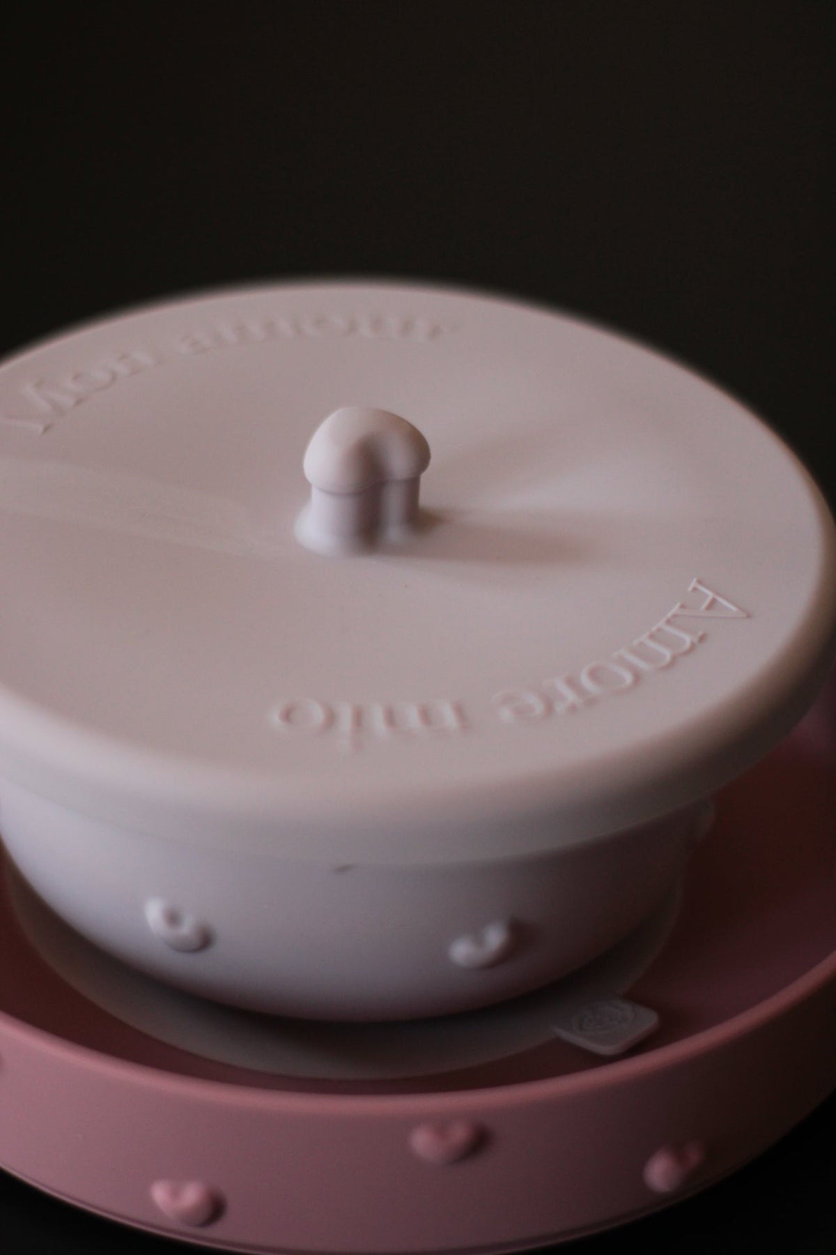 Ciotola in silicone 3D cuore con coperchio