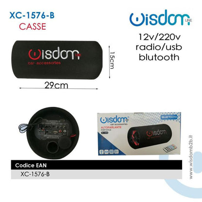 AKTIVER AUTO-SUBWOOFER 150W USB SD BLUETOOTH AUTO- UND HEIM-LAUTSPRECHER